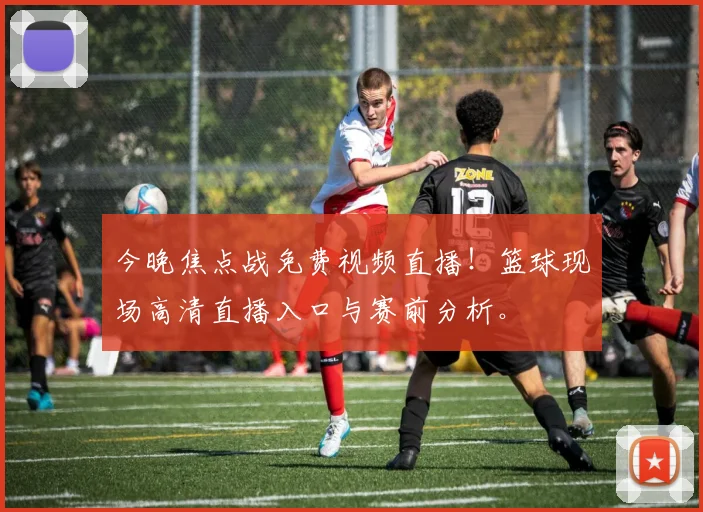 今晚焦点战免费视频直播!篮球现场高清直播入口与赛前分析。